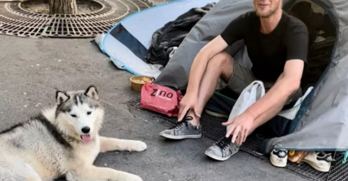 En se liant damitié avec un SDF ce chien donne une leçon de vie à son