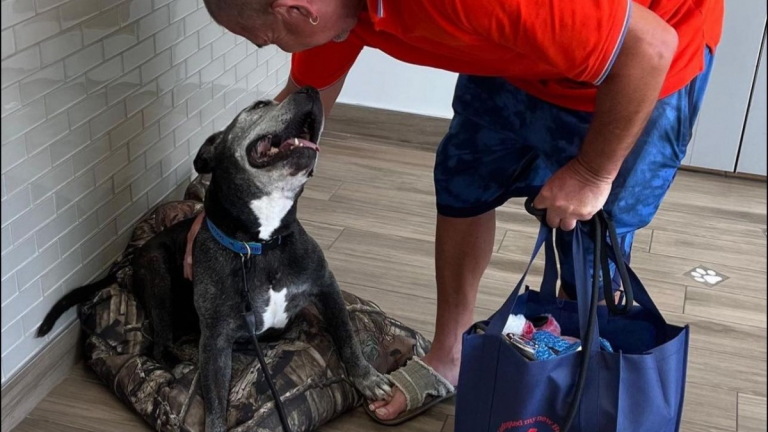 Le moment émouvant où un chien de 15 ans trouve enfin le bonheur après