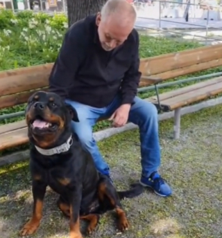 Dans l'Eure, un rottweiler a été retrouvé atrocement mutilé vendredi matin  au bord d'une route