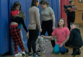 Illustration de l'article : Wrigley, le chien de thérapie qui révolutionne les cours d'éducation physique à l'école Owego