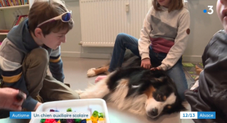 Illustration de l'article : La présence d’un chien peut apaiser les enfants atteints de troubles autistiques : une école nous le prouve