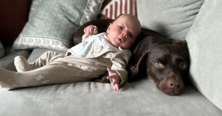 Illustration de l'article : Pour le choix du prénom de leur bébé, ce couple s’en remet à leur chien