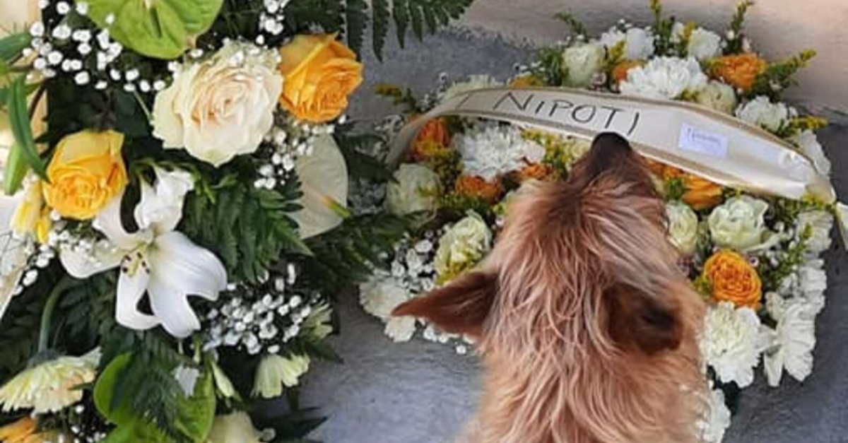 L'hommage à son chien a séduit des milliers de lecteurs : « Ubac a