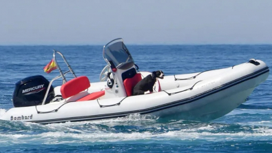 Illustration : "Frayeur en bord de mer : un chien aperçu seul à bord d’un bateau zodiac lancé à pleine vitesse"