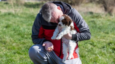 Illustration : "Un chiot découvre un trésor d’une valeur de 6 800 € lors de sa première balade"