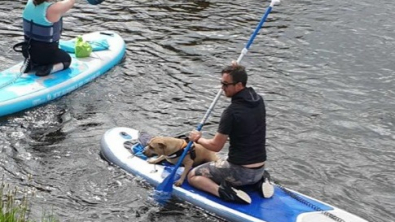 Illustration : "Un duo de sauveteurs sur paddle secourt un malheureux toutou emporté par le courant"