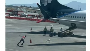 Illustration : "Un petit chien en cavale crée une belle pagaille sur les pistes d’un aéroport mexicain (vidéo)"