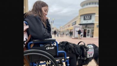 Illustration : "Ce chien d’assistance désobéit à sa maîtresse pour lui sauver la vie "