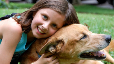 Illustration : "L'assurance santé animale engagée : comment Goodflair contribue à un monde meilleur avec ses chiens d'éveil"