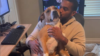 Illustration : "Un jeune homme finit par gagner la confiance d’un chien, traumatisé par les hommes (vidéo)"