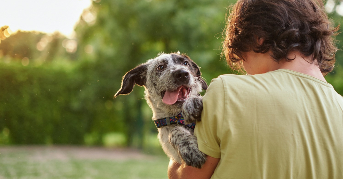 Comment canaliser l'énergie de votre chien ?