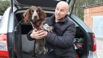 Illustration : "Faites connaissance avec Giddy, la chienne de pompier au flair infaillible, entraînée pour retrouver les criminels pyromanes (vidéo)"