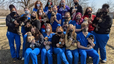 Illustration : "Des étudiants en médecine vétérinaire transforment le destin tragique de chiots voués à l'euthanasie"