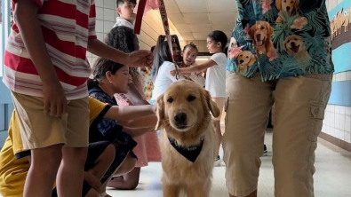 Illustration : "Des écoliers disent au revoir au chien de thérapie qui a marqué leur scolarité"