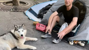 Illustration : "En se liant d’amitié avec un SDF, ce chien donne une leçon de vie à son maître"