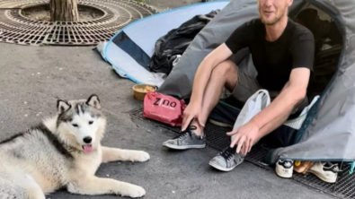 Illustration : "En se liant d’amitié avec un SDF, ce chien donne une leçon de vie à son maître"