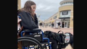 Illustration : "L’incroyable réactivité d’un chien d’assistance sauve la vie de sa maîtresse (vidéo)"