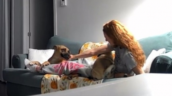 Illustration : Le moment touchant où une chienne récemment adoptée comprend qu'elle est aimée et sa maîtresse réalise qu'elle a toute sa confiance (vidéo)