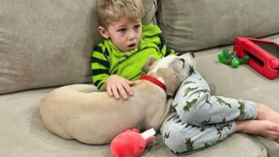 Illustration : "Un enfant rédige des lettres touchantes pour les futurs maîtres de la chienne qu’il a eue en tant que famille d’accueil"