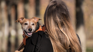 Illustration : "L'homme de ses rêves exigeant qu'elle se sépare de son chien, une femme se retrouve face à un choix difficile"