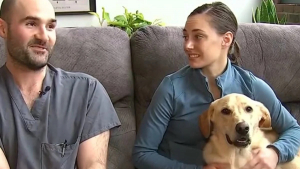 Illustration : "Ce couple interrompt leur cérémonie de mariage pour aller sauver leur chien perdu en forêt"