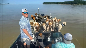 Illustration : "Un duo de pêcheurs découvre 38 chiens perdus au beau milieu d’un lac et les emmènent sur leur bateau"