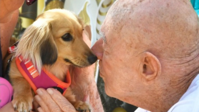 Illustration : En l’honneur de ses 95 ans, ce retraité amoureux des chiens reçoit le plus beau des cadeaux (vidéo)