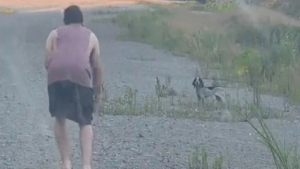 Illustration : "Un homme endeuillé par la perte de son chien fait la rencontre d’un animal errant qui lui redonne le sourire (vidéo)"