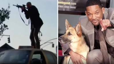 Illustration : "Plus de 15 ans plus tard, le célèbre acteur Will Smith rend hommage à son compagnon chien du film Je suis une Légende (vidéo)"