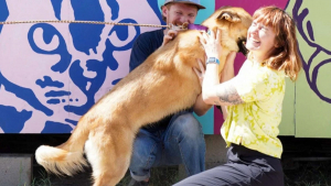 Illustration : "Pour adopter le chien de leurs rêves, ce couple arrive avec 2 heures d’avance à un événement de refuge"