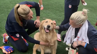 Illustration : "Des chiens de thérapie offrent une surprise émouvante à l’équipe féminine olympique de football (vidéo)"