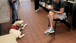 Illustration : "Un chien de thérapie se rend dans un centre pour sans-abris et redonne le moral aux résidents "