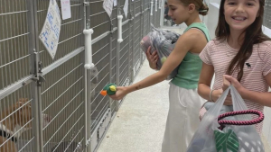 Illustration : "Deux jeunes filles vendent de la limonade pour offrir de nouveaux jouets aux chiens de ce centre d’accueil"