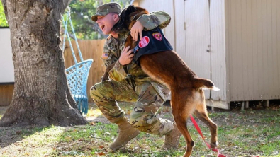 Illustration : Après 4 ans de séparation, un chien militaire retrouve enfin son maître adoré